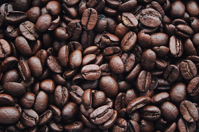 Découvrez les secrets de la caféologie : la science derrière votre tasse de café