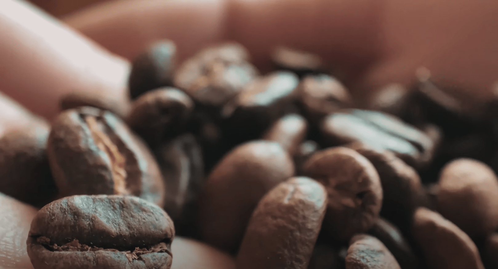 Recyclage des capsules de café jetables : mythe ou réalité ?